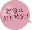到着は花と華前!