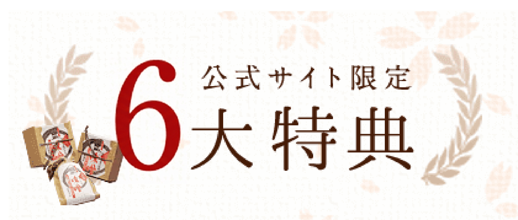 公式サイト限定6大特典