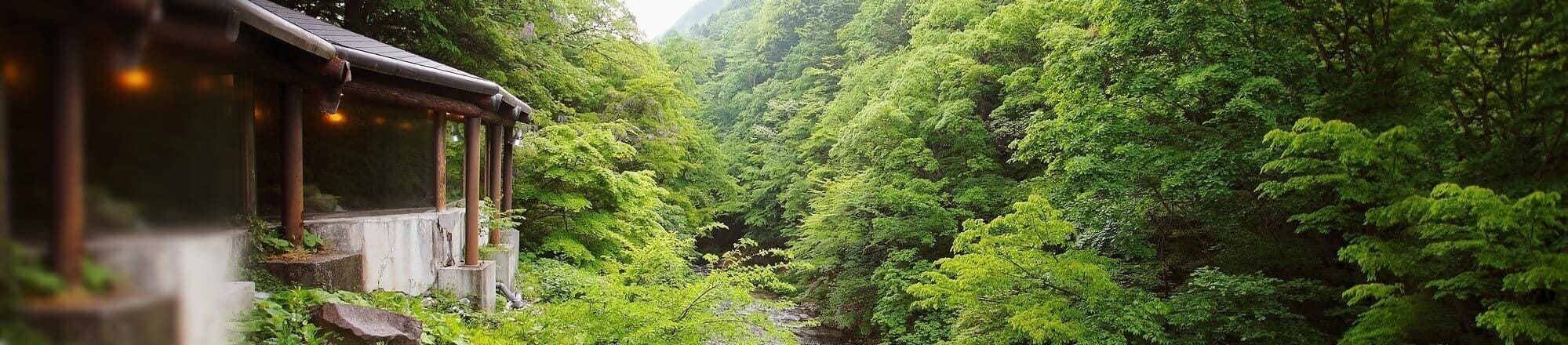 四季を楽しむ 湯西川随一の眺望