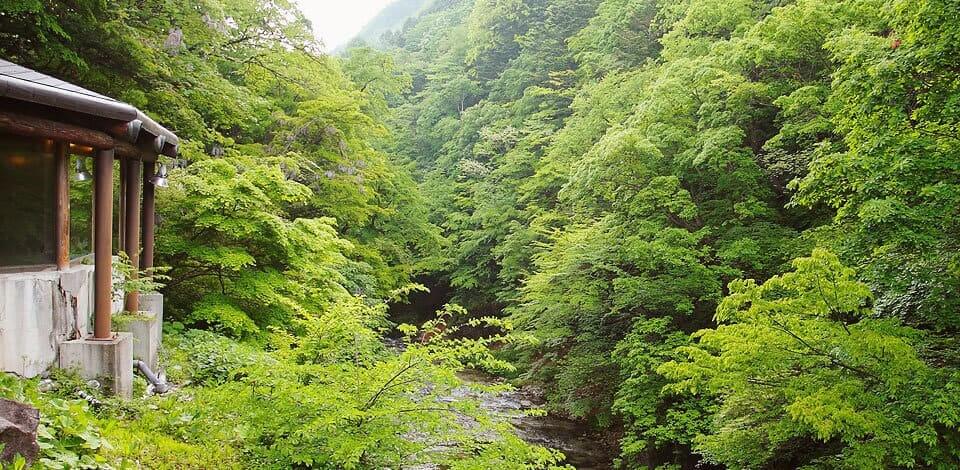 四季を楽しむ 湯西川随一の眺望