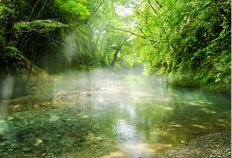 県内全蔵元の地酒